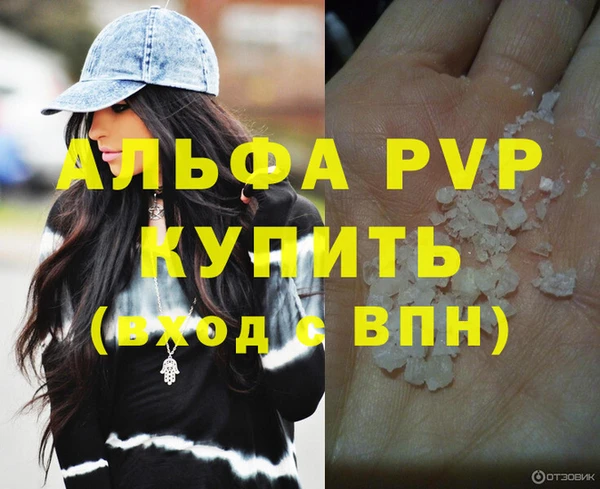 крисы Бородино