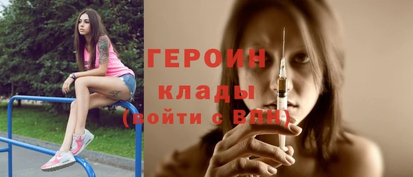 крисы Бородино