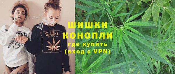 крисы Бородино