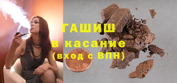 крисы Бородино