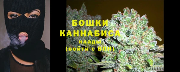 крисы Бородино