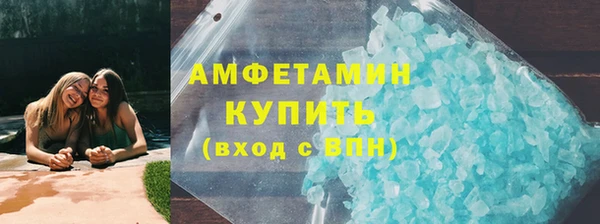 крисы Бородино