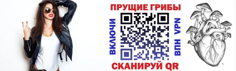 Псилоцибиновые грибы MAGIC MUSHROOMS  Новохопёрск 